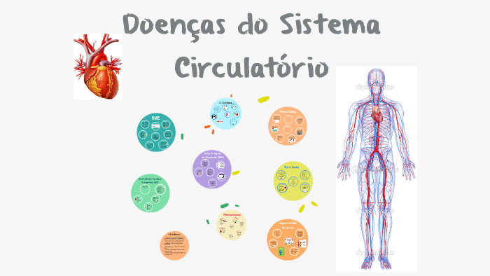 Doenças do Sistema Circulatório by MIRIAM DE ALMEIDA DOS SANTOS on Prezi