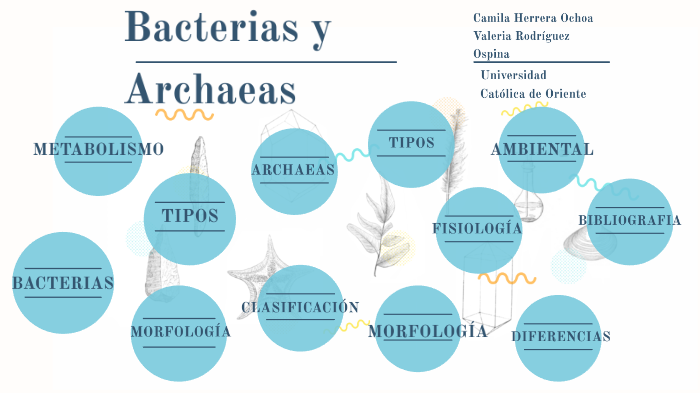 BACTERIAS Y ARCHAEAS by Valeria Rodriguez on Prezi