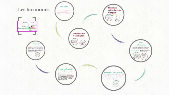 Les Hormones By Emily Ouimet 