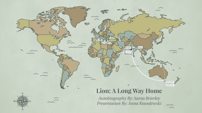 lion a long way home questions and answers