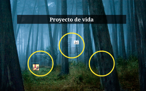 Proyecto de vida by Julieth Castillo on Prezi