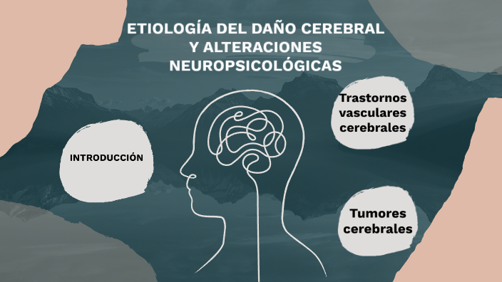 ETIOLOGÍA DEL DAÑO CEREBRAL Y ALTERACIONES NEUROLÓGICAS by Katherine ...