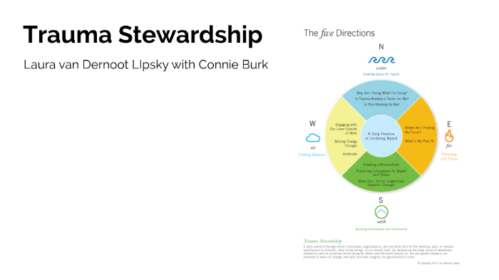 Summary of Laura van Dernoot Lipsky amp Connie Burk39s Trauma Stewardship  eBook by Everest Media - EPUB Book  Rakuten Kobo United States