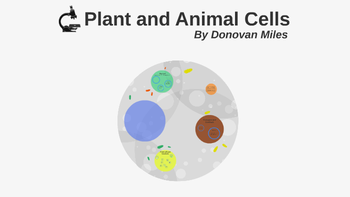 Plant and Animal Cells by Donovan Miles on Prezi