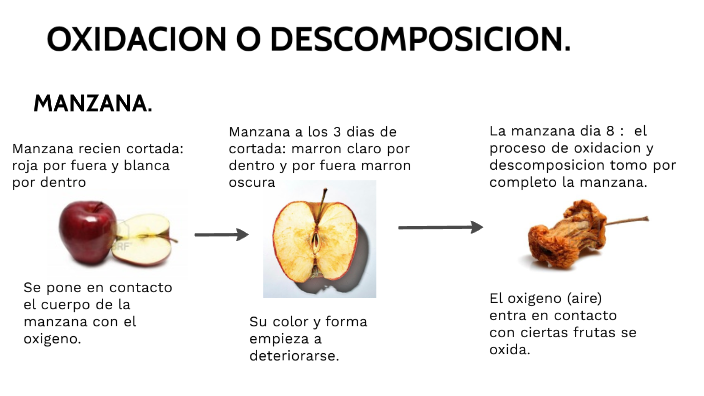 Oxidación o descomposición de una manzana. by Maria Marin on Prezi