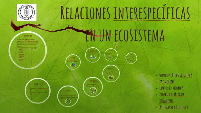 Relaciones interespecíficas en un ecosistema by Belen Aguilera on Prezi