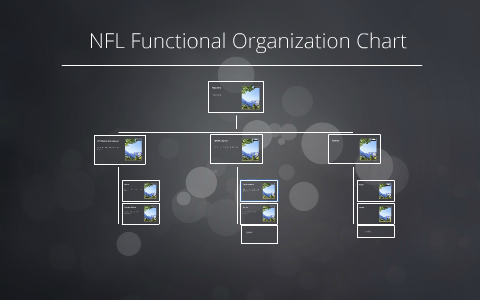 nfl organization
