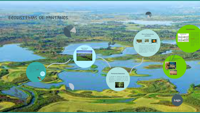 ECOSISTEMAS DE PANTANOS by carlos portillo on Prezi