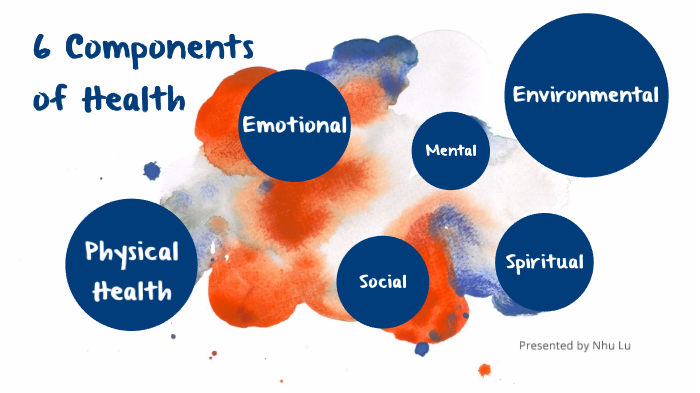 6-components-of-health-by-nhu-lu