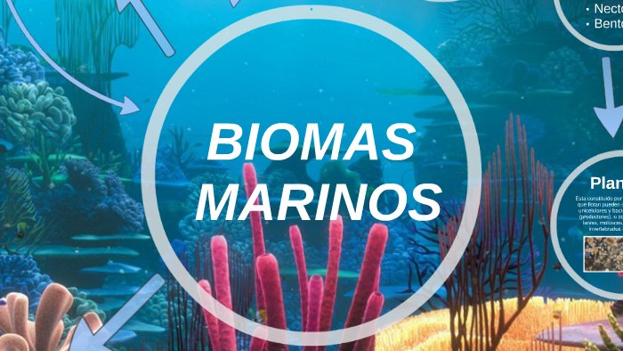 BIOMAS MARINOS by Macarena Pesado on Prezi