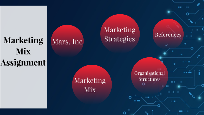 higher business marketing mix assignment