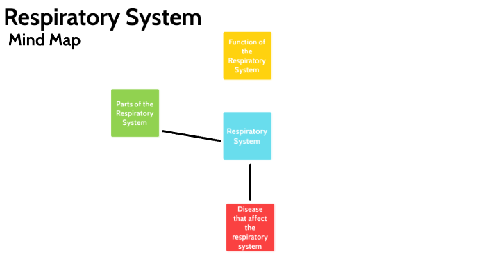 Respiratory System by Elizabeth Resciniti on Prezi