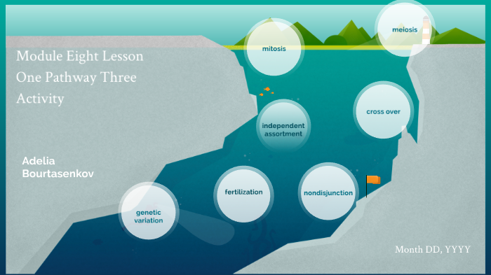Module Eight Lesson One Pathway Three Activity by adelia bourtasenkov ...
