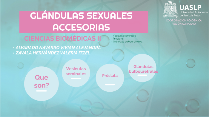liquido viscoso secretado por la prostata