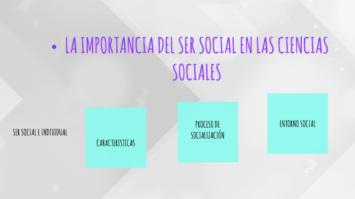 LA IMPORTANCIA DEL SER SOCIAL EN LAS CIENCIAS SOCIALES by Dafne Torres ...