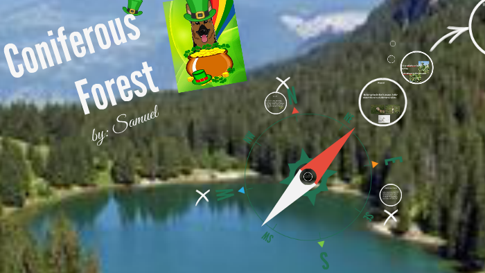 Coniferous Forest by Christine Caffey on Prezi