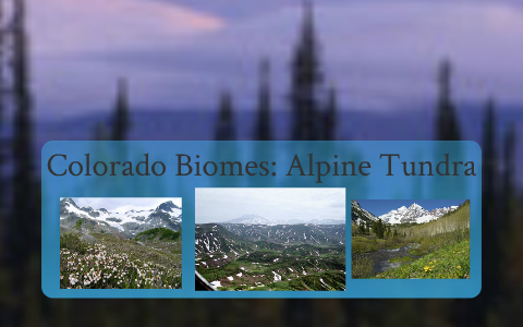 Colorado Biomes by Alex Bradsher on Prezi