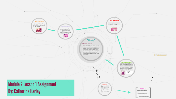 Module 2 Lesson 1 Assignment by Catherine Harley on Prezi
