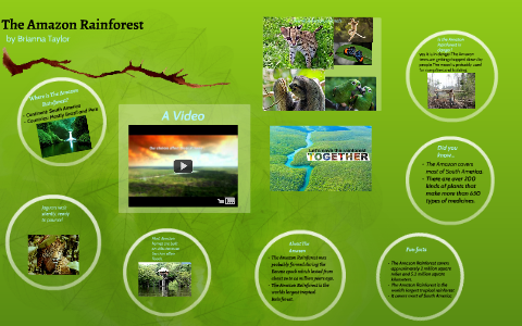 The Amazon Rainforest by Brianna Taylor on Prezi