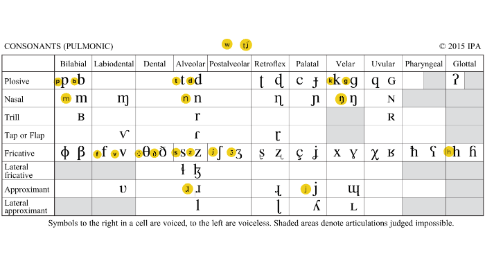 My Phonetic Stuff In Consonant Phonetics Phonetic Chart Hot Sex Picture 5302