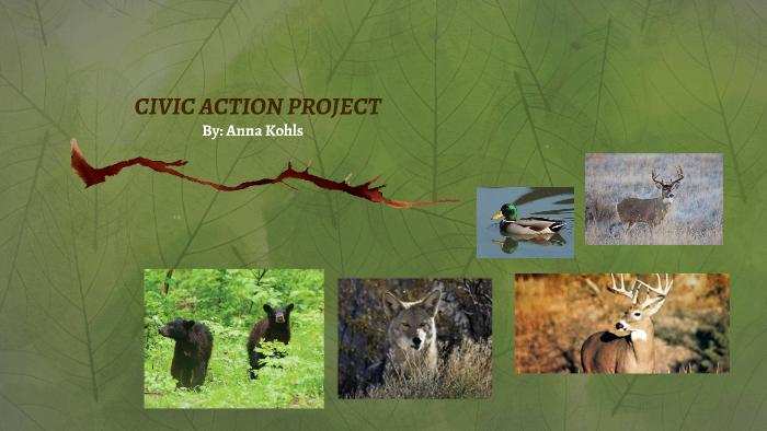 civic-action-project-by-anna-kohls