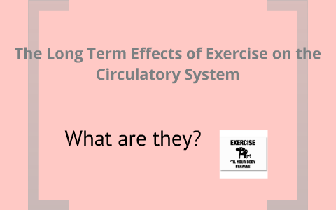 The Long Term Effects of Exercise on the Circulatory System by Chloe ...