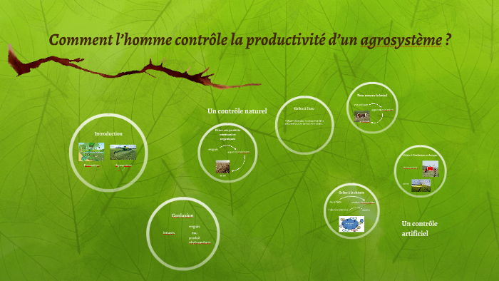 Comment Lhomme Contrôle La Productivité Dun Agrosystème By Claire Jardin 0299