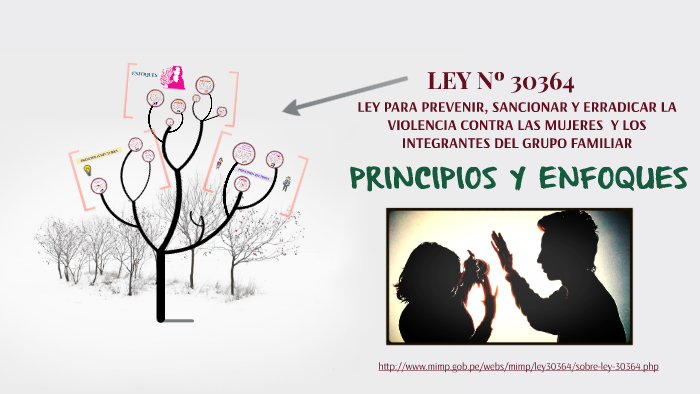 Principios Y Enfoques De La Ley 30364 By Jonnathan Chafloque Periche On Prezi 3847