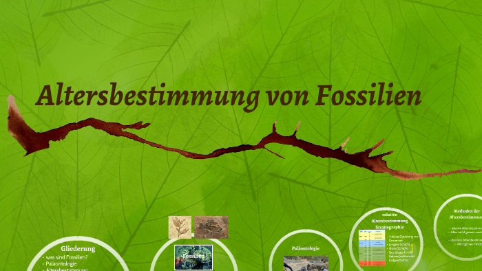 Absolute Altersbestimmung Von Fossilien Altersbestimmung von Fossilien by Julia Schönbroich on Prezi