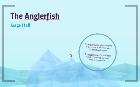 The Anglerfish by Gage Hall on Prezi