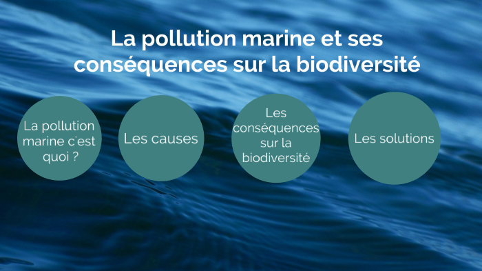 La pollution marine et ses conséquences sur la biodiversité by Ninon ...