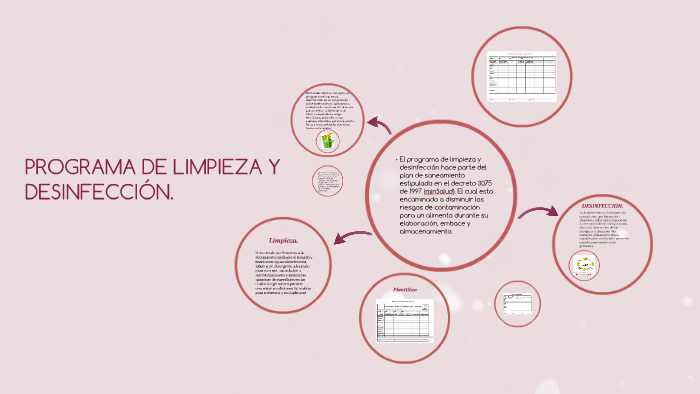 Programa De Limpieza Y Desinfeccion By Alison Solano