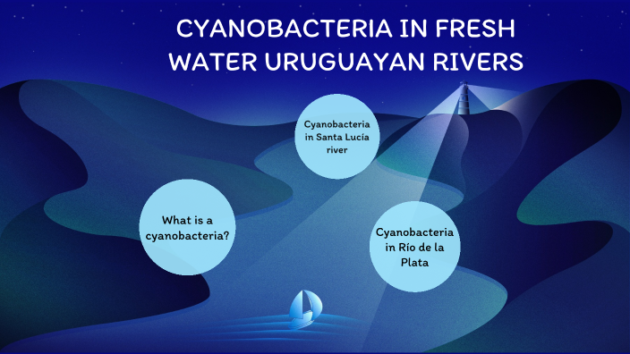 cyanobacteria by Joaquín Goñi on Prezi
