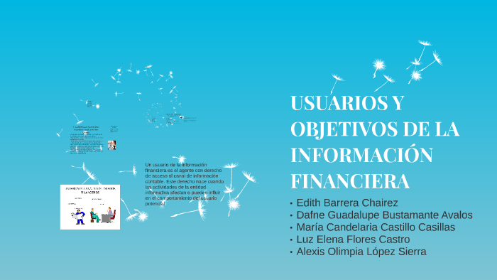 Usuarios Y Objetivos De La Información Financiera