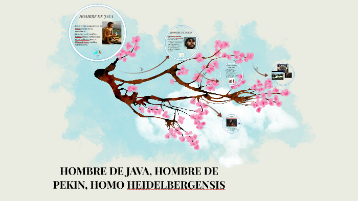 HOMBRE JAVA, HOMBRE DE PEKIN, HOMO HEIDELBERGENSIS by Juanita Torres ...