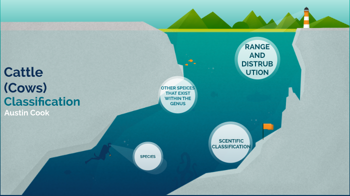 Classification: Cattle (Cows) by on Prezi