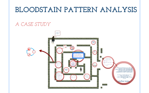 bloodstain pattern research paper