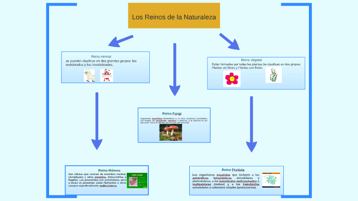 Los Reinos de la naturaleza by Alvaro Santos on Prezi