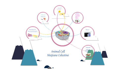 Animal Cell by maijiane celestine on Prezi