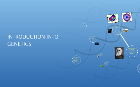 iNTRODUCTION INTO GENETICS by Heather Glazebrook on Prezi