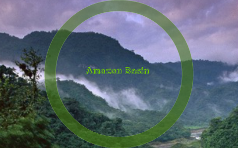 Amazon Basin Food Web By Jim Whittard