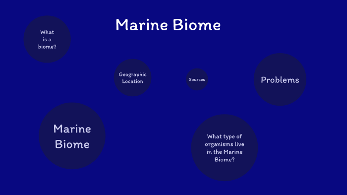 Marine Biomes By Vale Nuñez