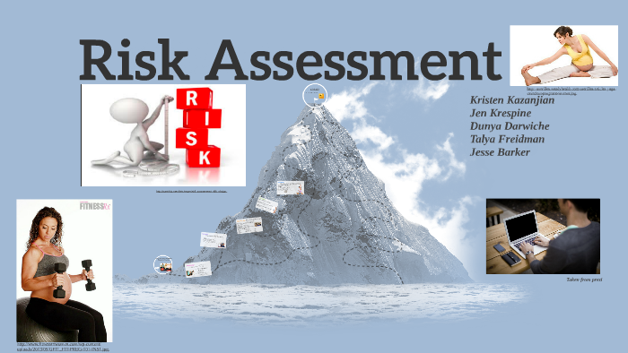 dissertation risk assessment