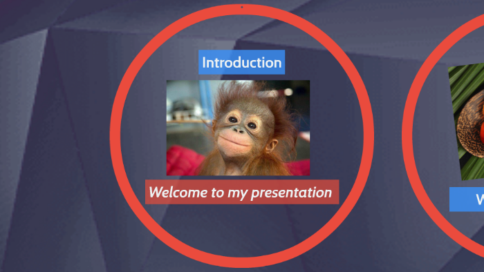 English Presentation by Nicolás Ubierna Perez on Prezi
