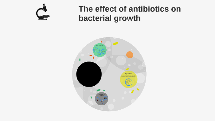 the effect of antibiotics on bacterial growth experiment