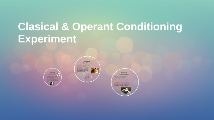 operant conditioning experiment prezi