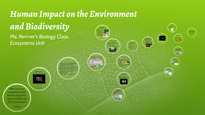 How Have Human Activities Affect The Earth S Biodiversity - The Earth ...