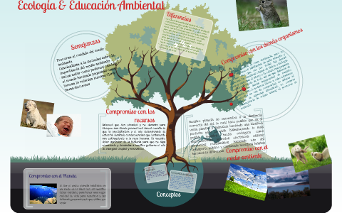 pegar Sumamente elegante pirámide Ecología y Educación Ambiental by Eduardo Aguilar on Prezi Next