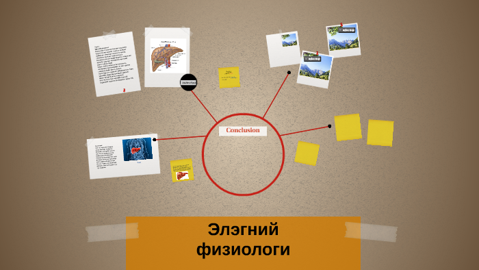 Элэгний by Алтантуул А. on Prezi