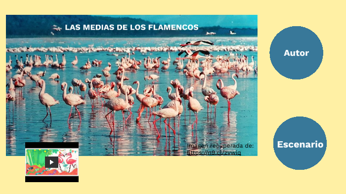 Las medias de los flamencos by EMILCE MACIEL on Prezi